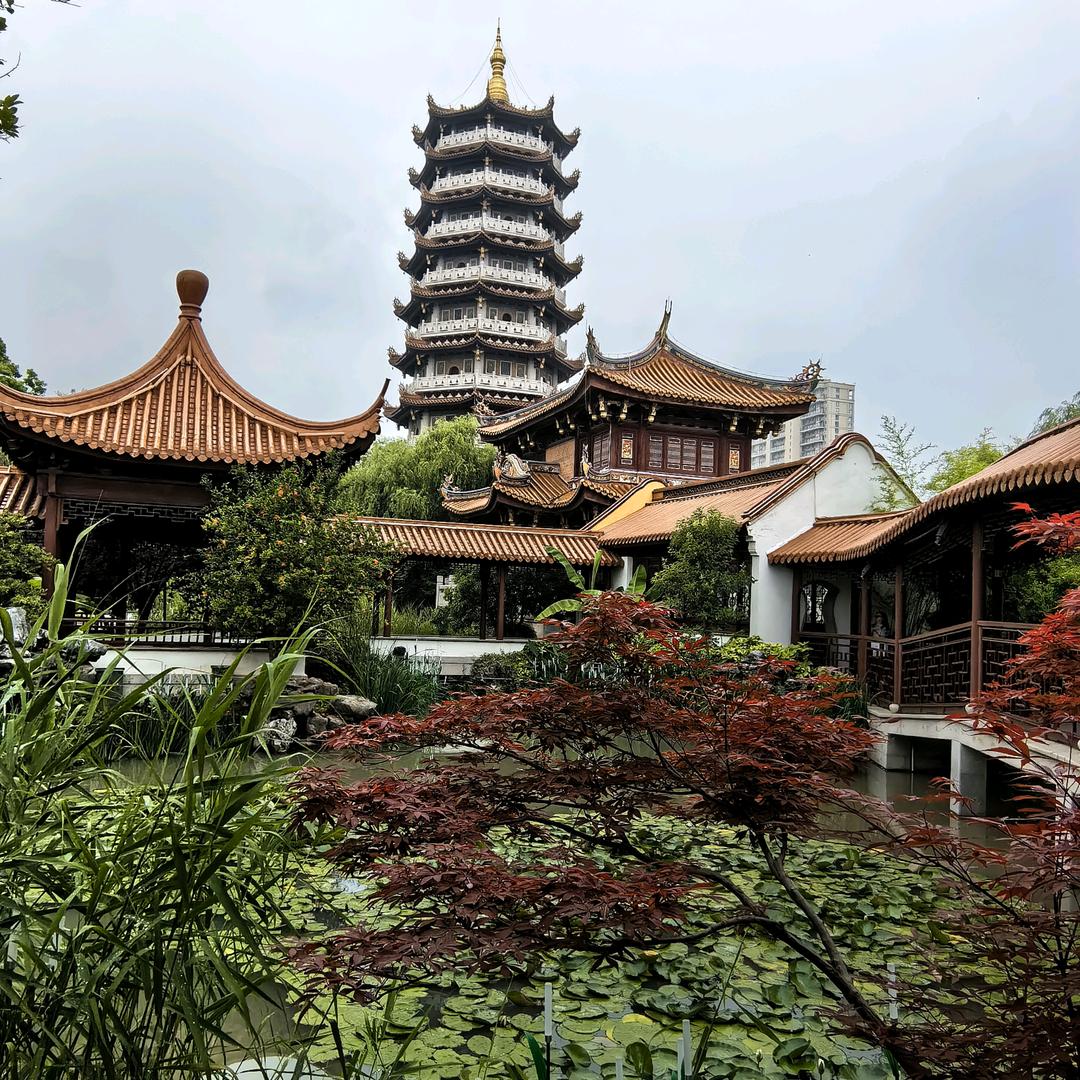 龙珠国术心意六合拳沈正明十大形