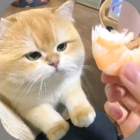 嘻ha搞怪.