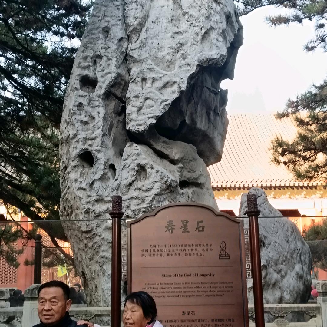 有手机陪伴我不覚得孤单