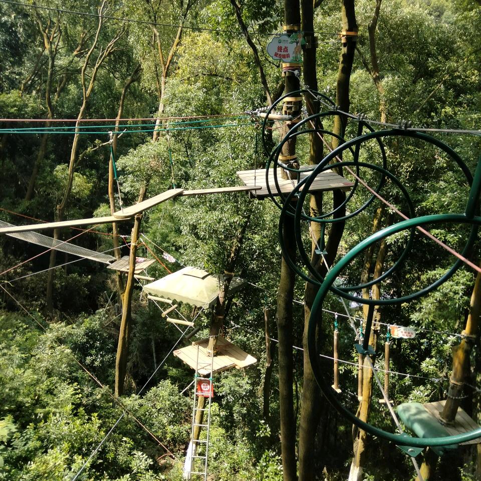 丛林穿越魔网源头厂家