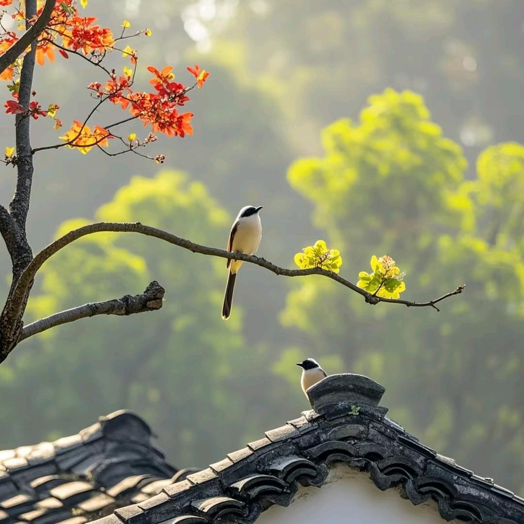 昊然说故事
