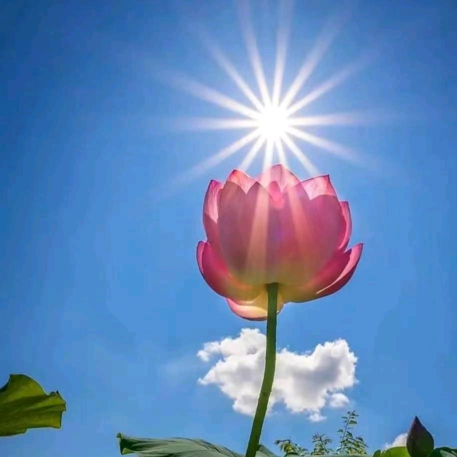 杨公法道（缘福堂）