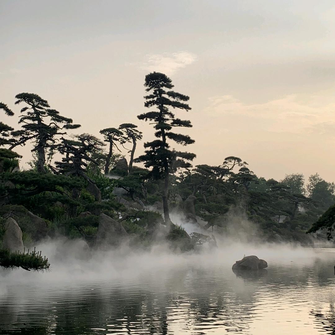 东城以东（难悟）💫