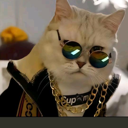 ℳ๓᭄大ꦿ໊ོ 雨ꦿཽ࿐🌹⭐️🌹🌸