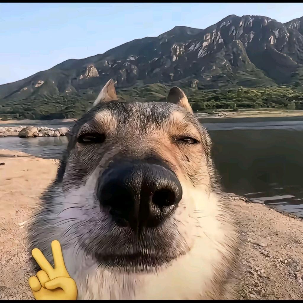疼