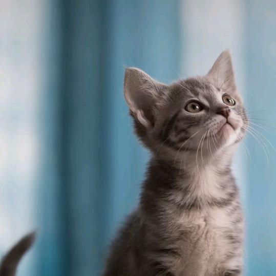 情深不及酒伴💤