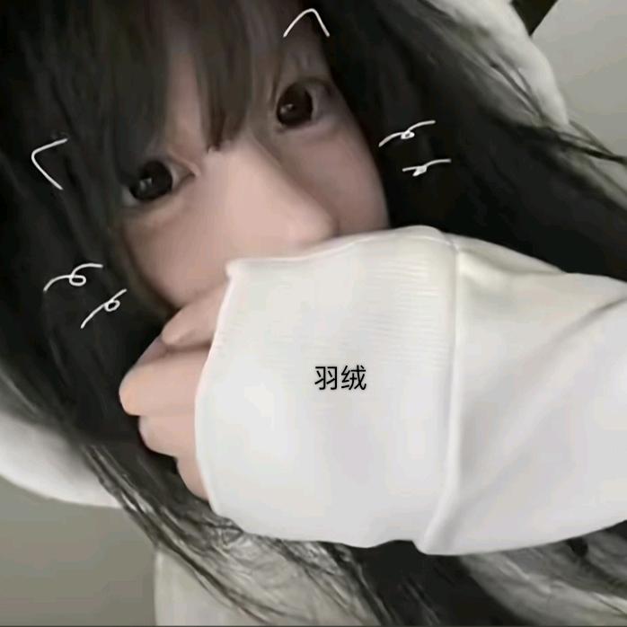 羽绒(蛋仔派对)