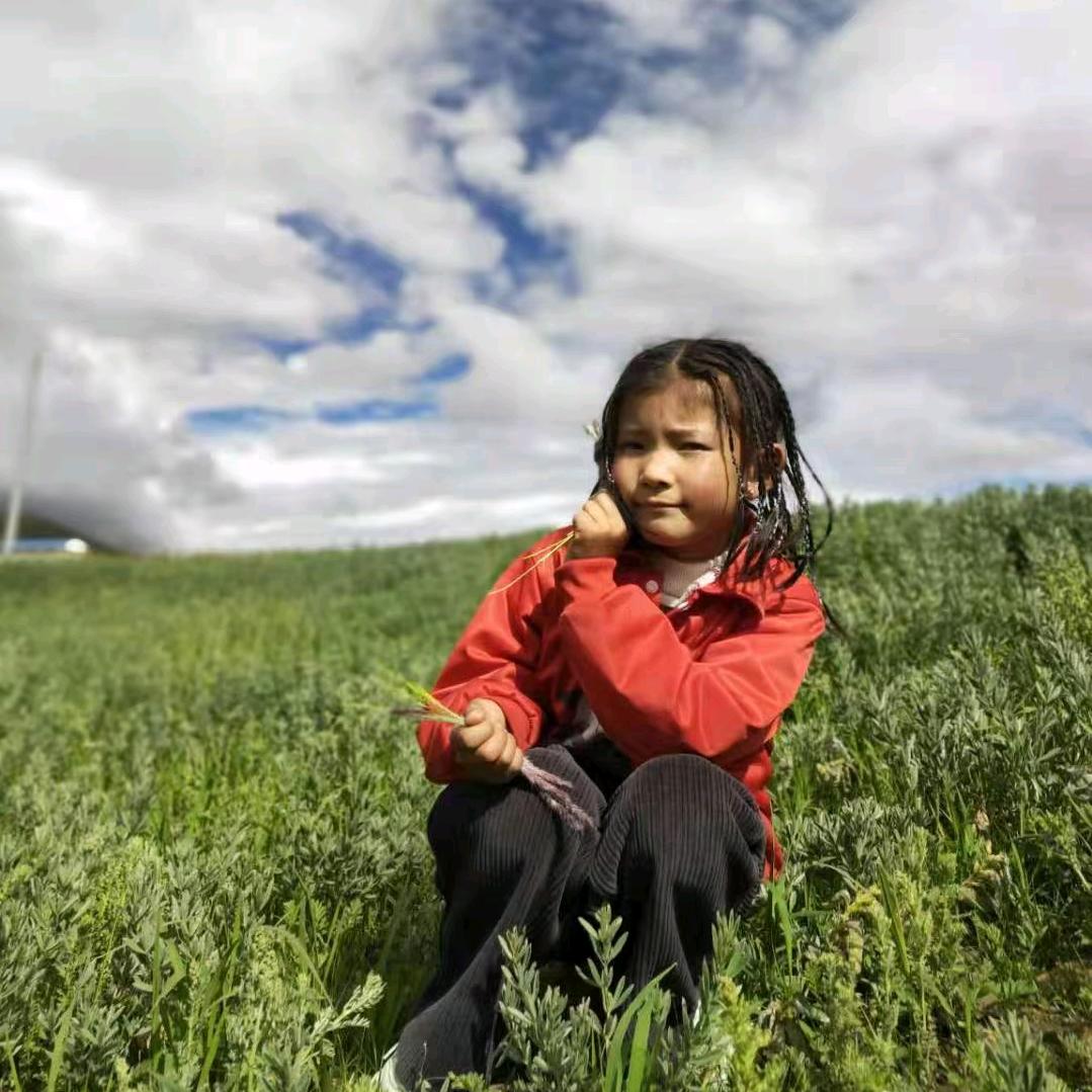 💐一   切💫最好的伙伴@