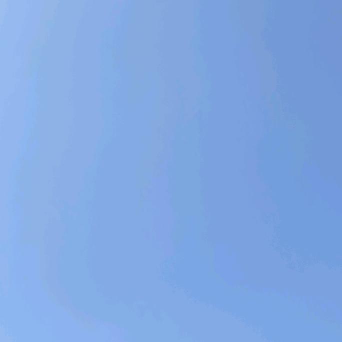 水木