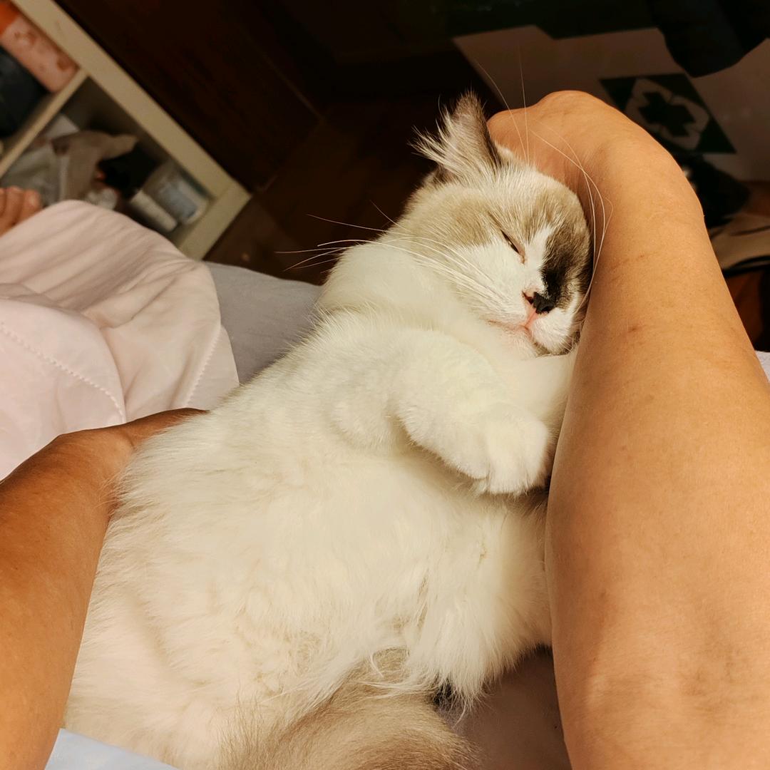 一城终老