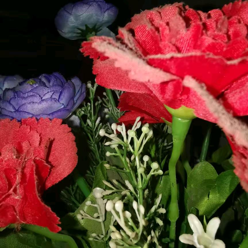 晓鱼儿⭐️⭐️