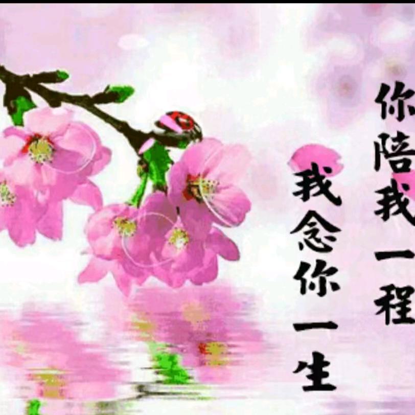东方雄鹰
