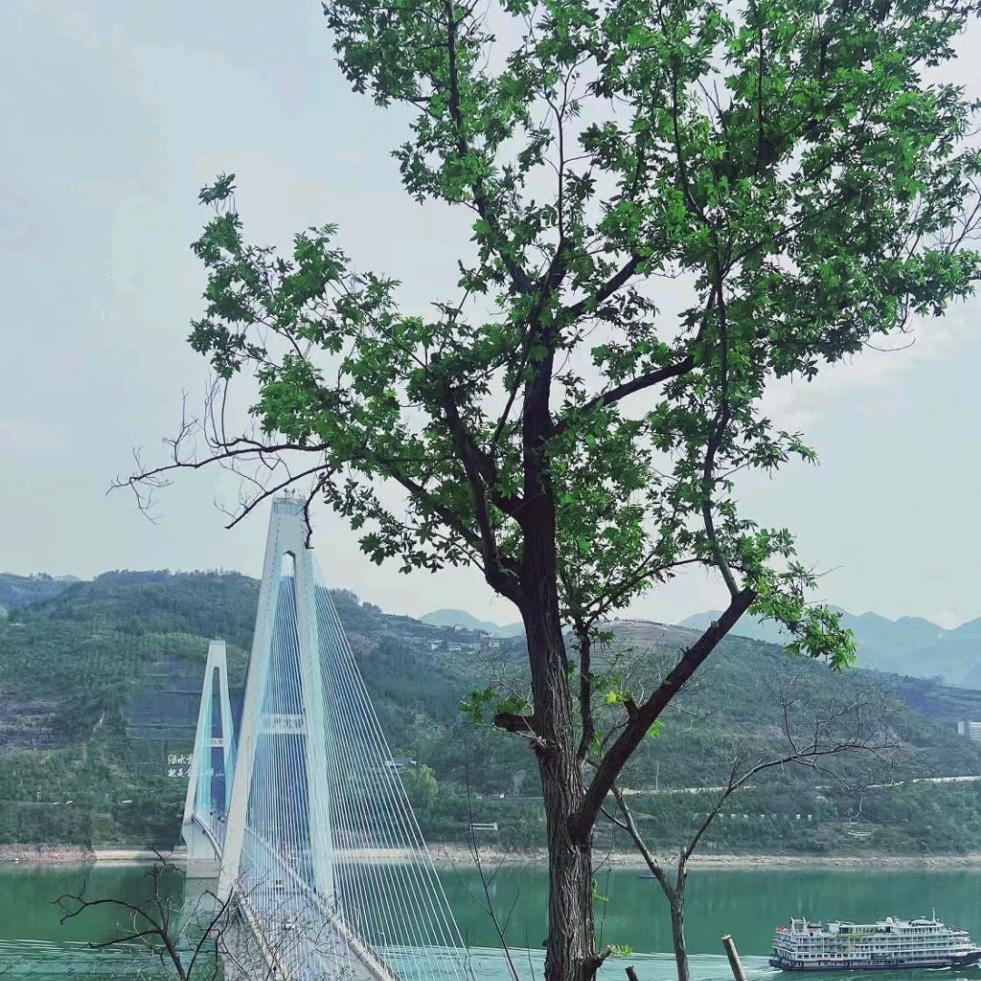 浅语