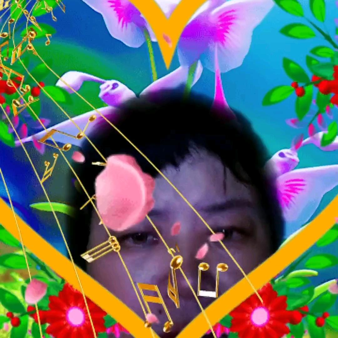 何汝媛