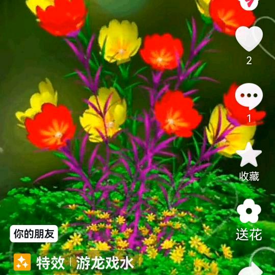 随缘做好自己