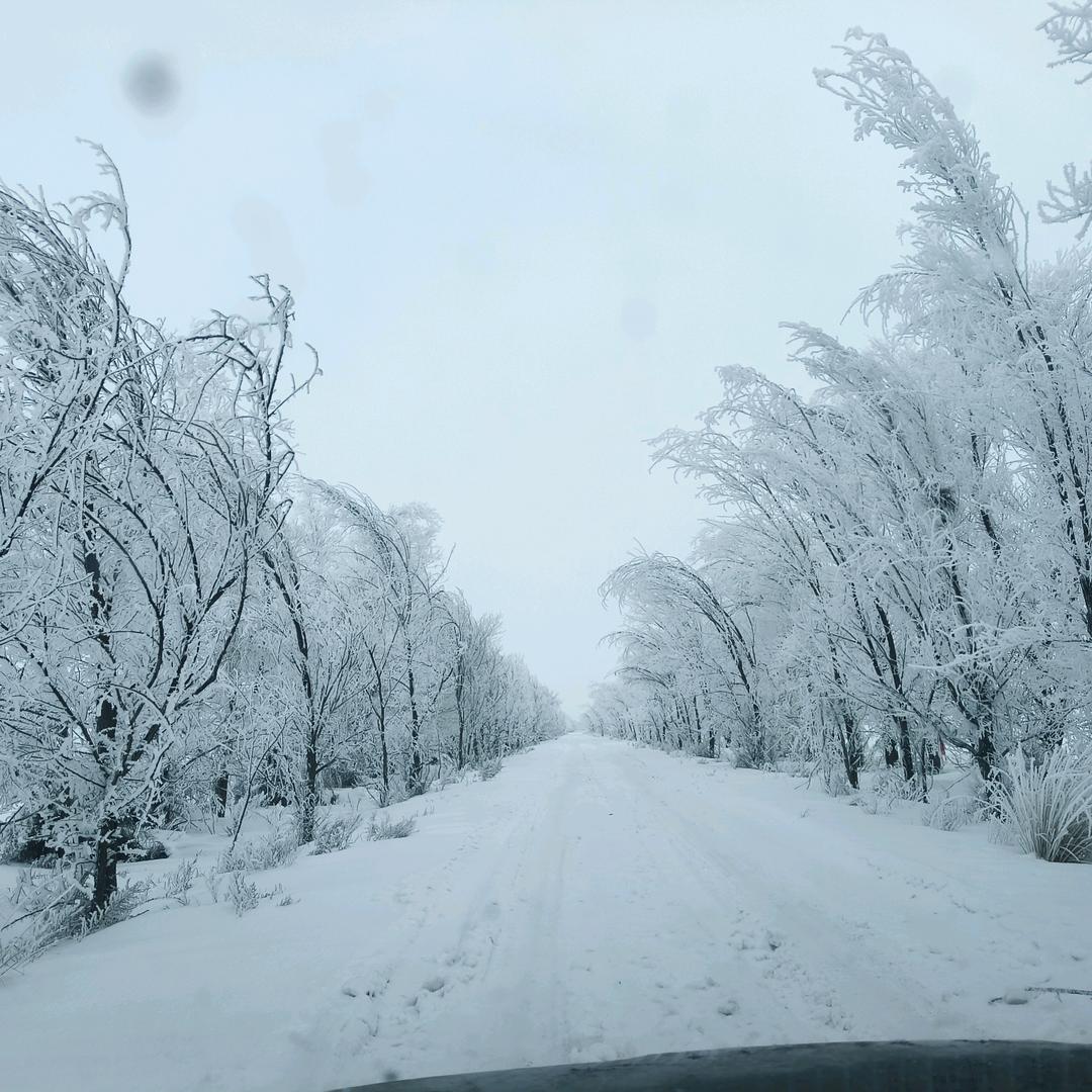 糊涂人生
