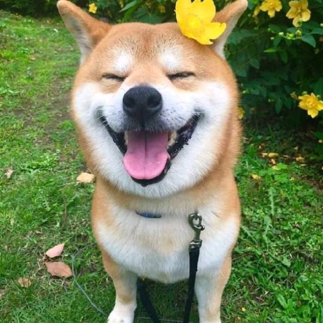 @退役J人专业外架搭拆班组
