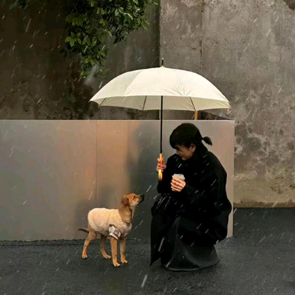 早起懒洋洋🐏.