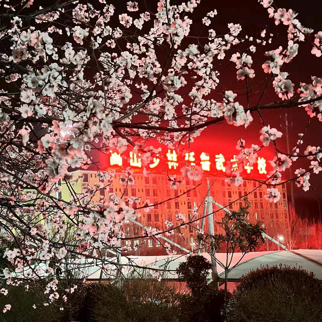 延鲁武校新生系-张教练（新生咨询）