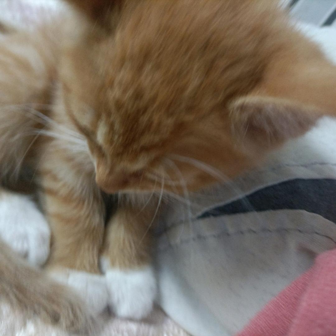 幸福的彼爱
