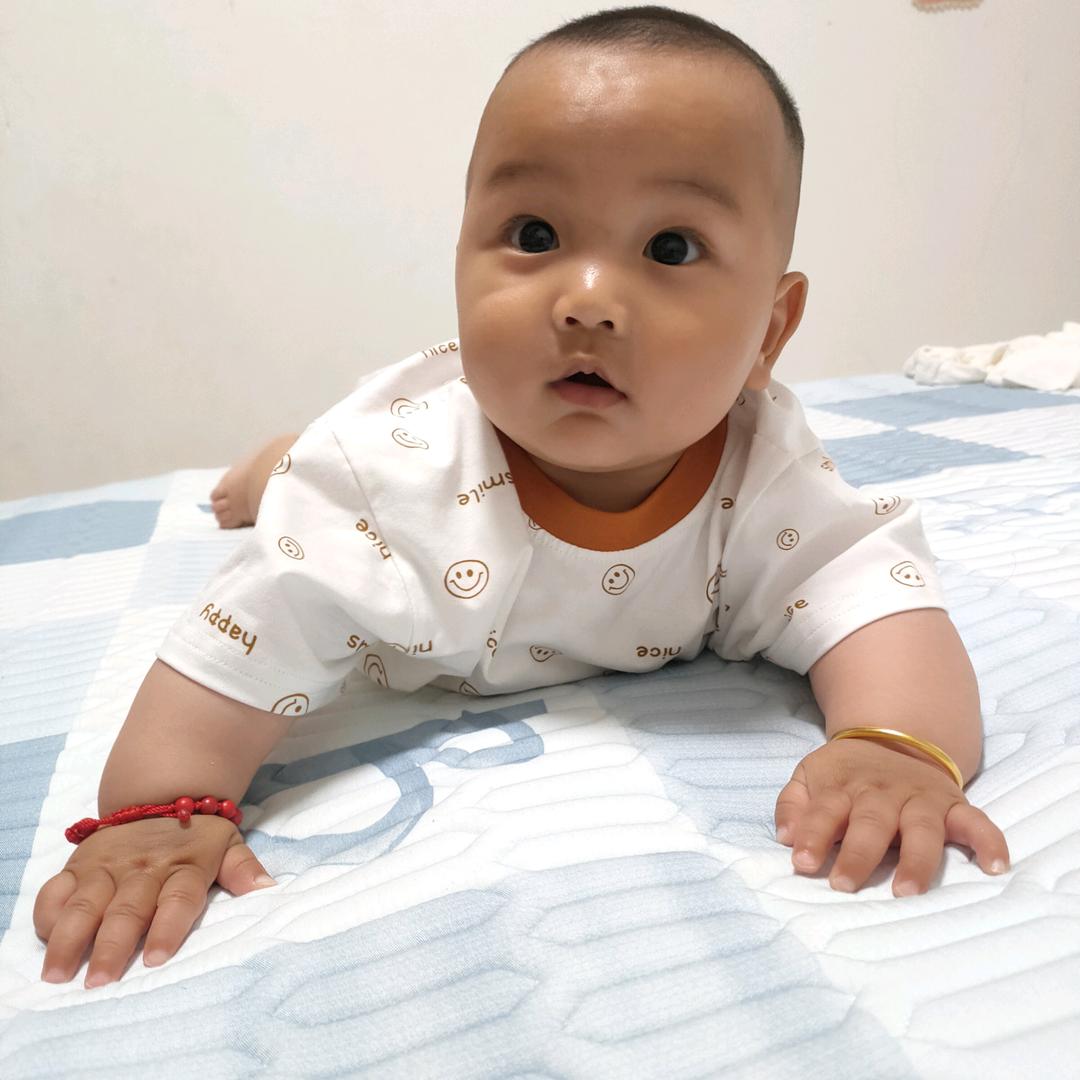 （吉祥三宝）刘