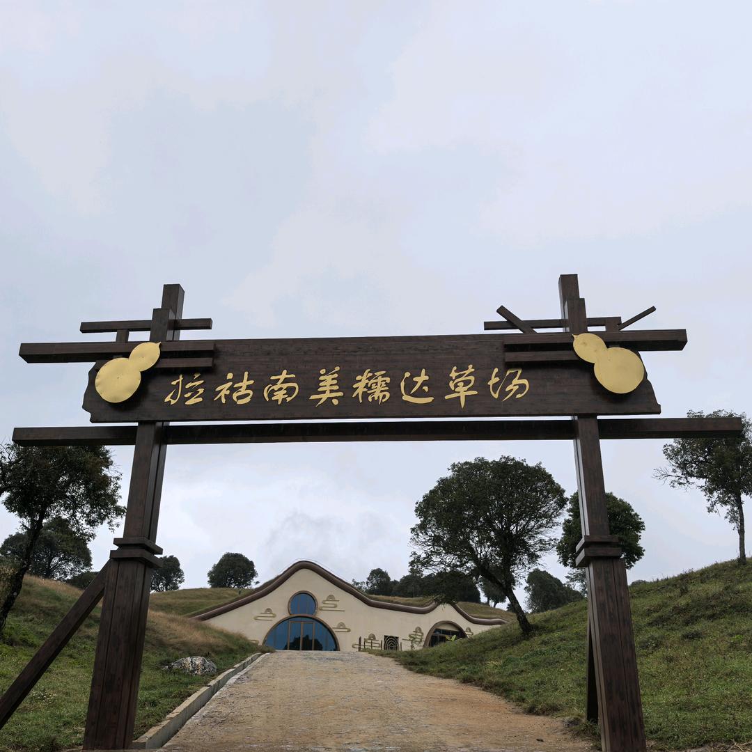 红华