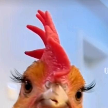 林林嗒嗒滴-👉