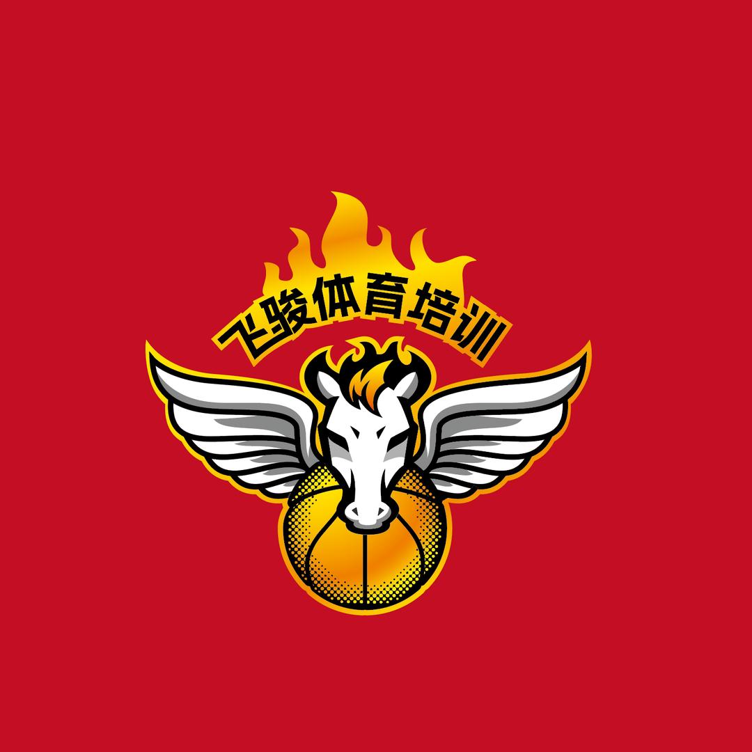 隆林飞骏体育培训