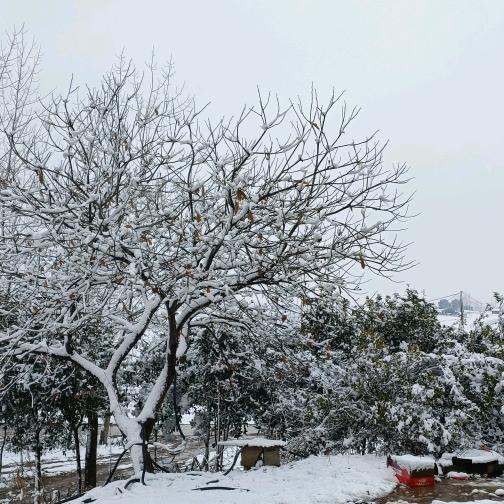 倔强艺术派大星