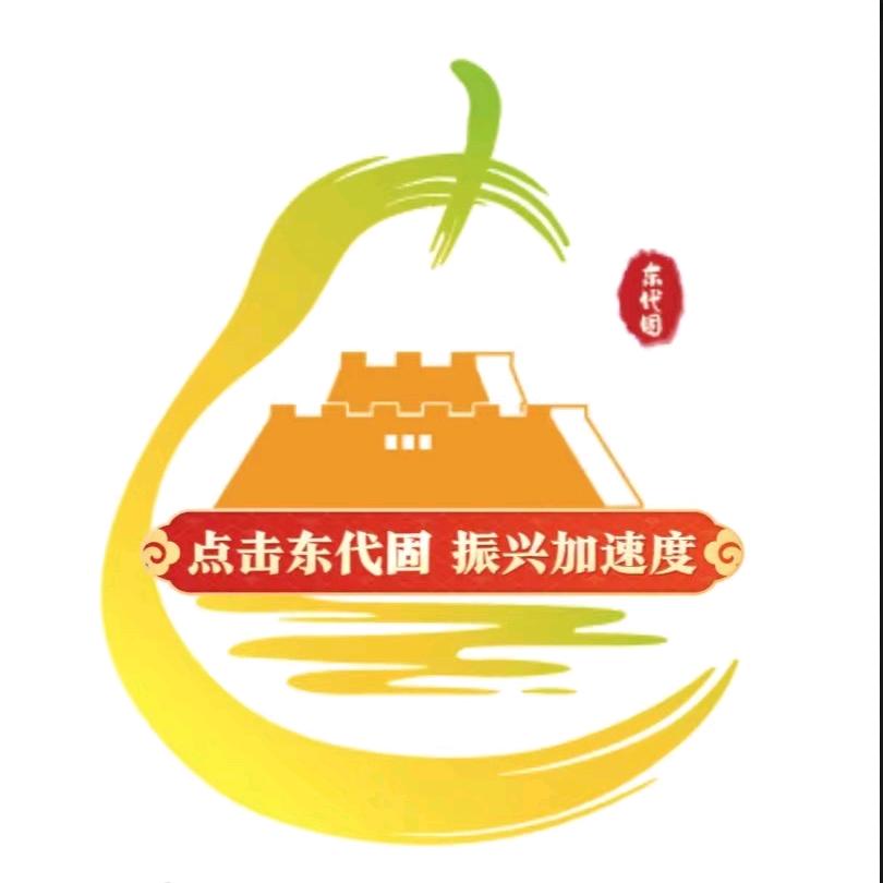 东代固“振”兴在线