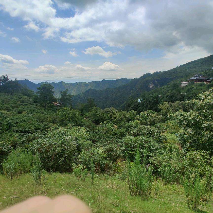 山月不只