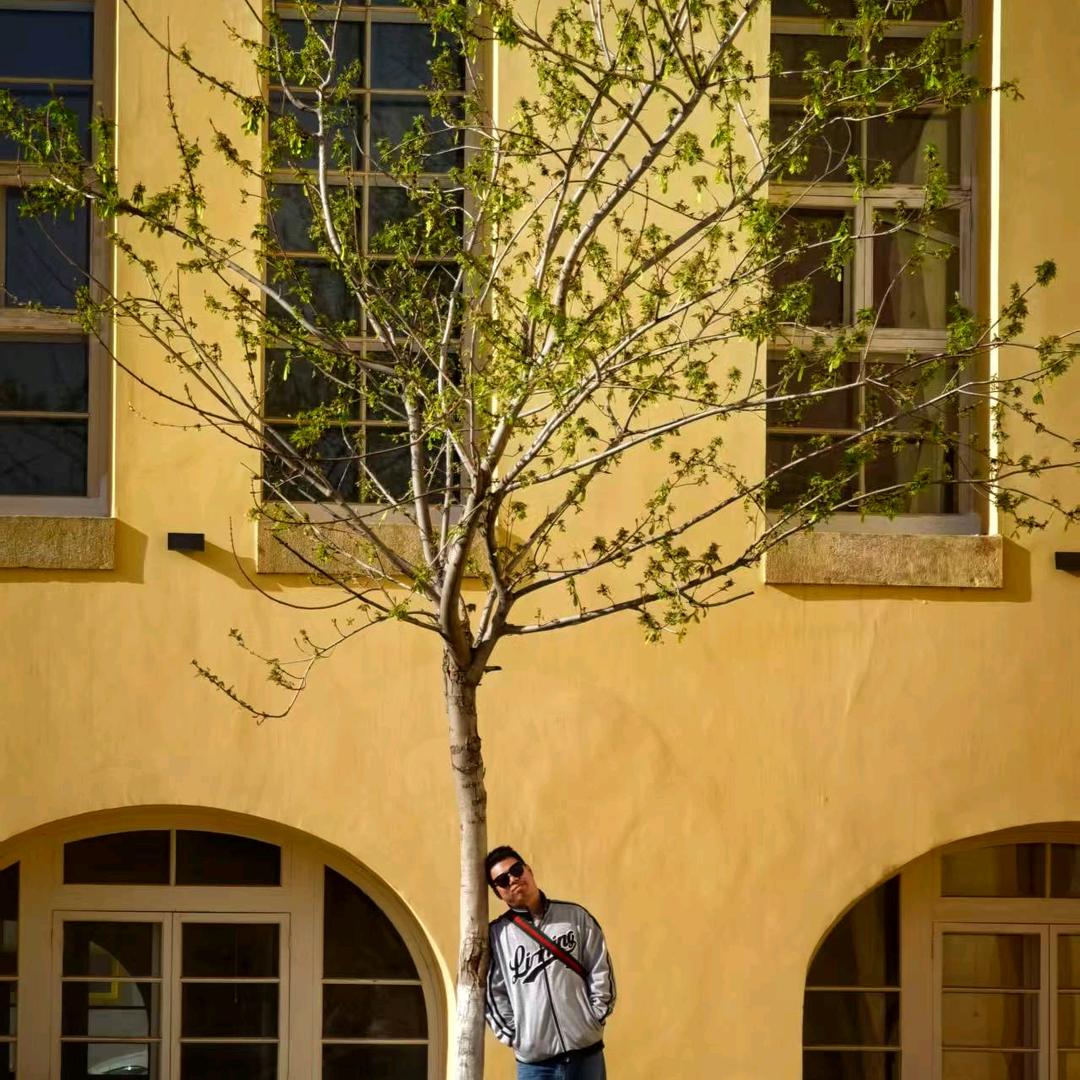 老张今晚不想睡