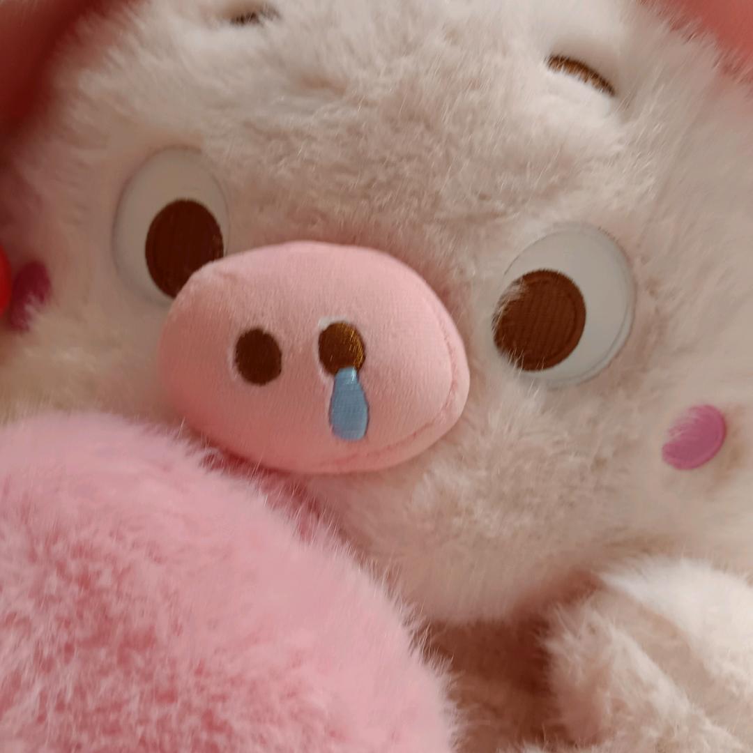承思一念月
