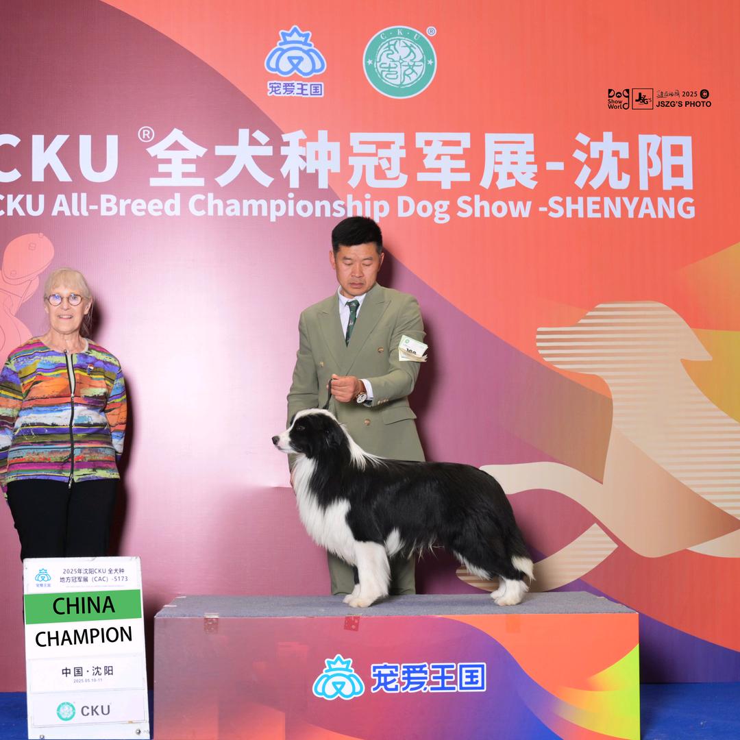 山城牧歌犬舍