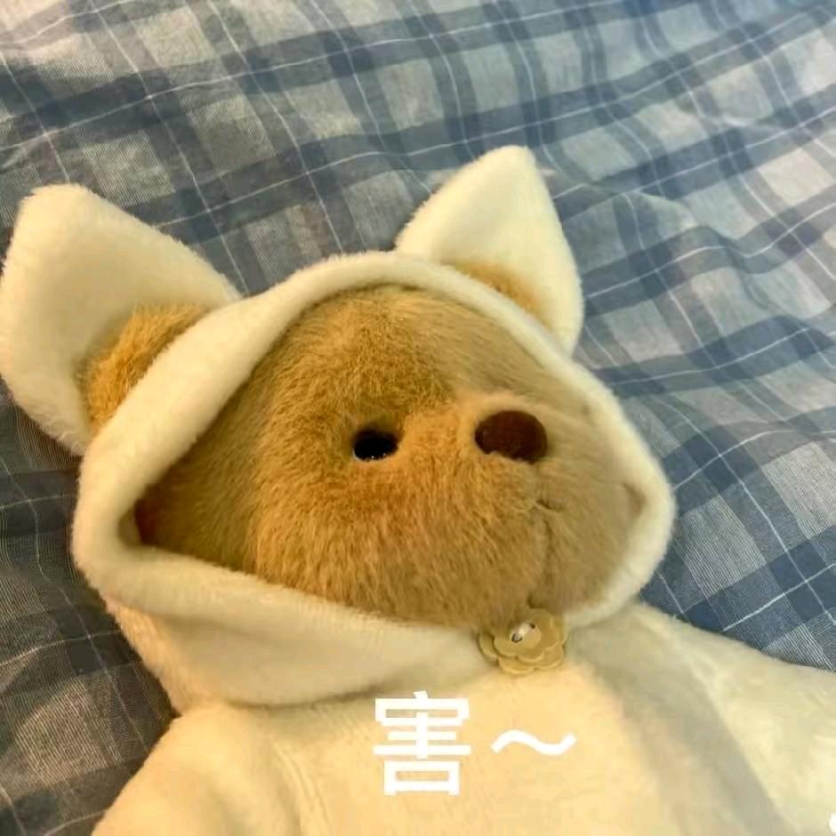(๑•̌.•̑๑)ˀ̣ˀ̣