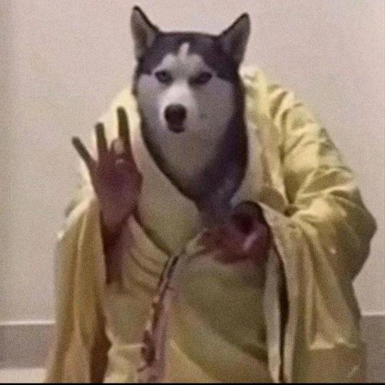 砂糖橘味的名字