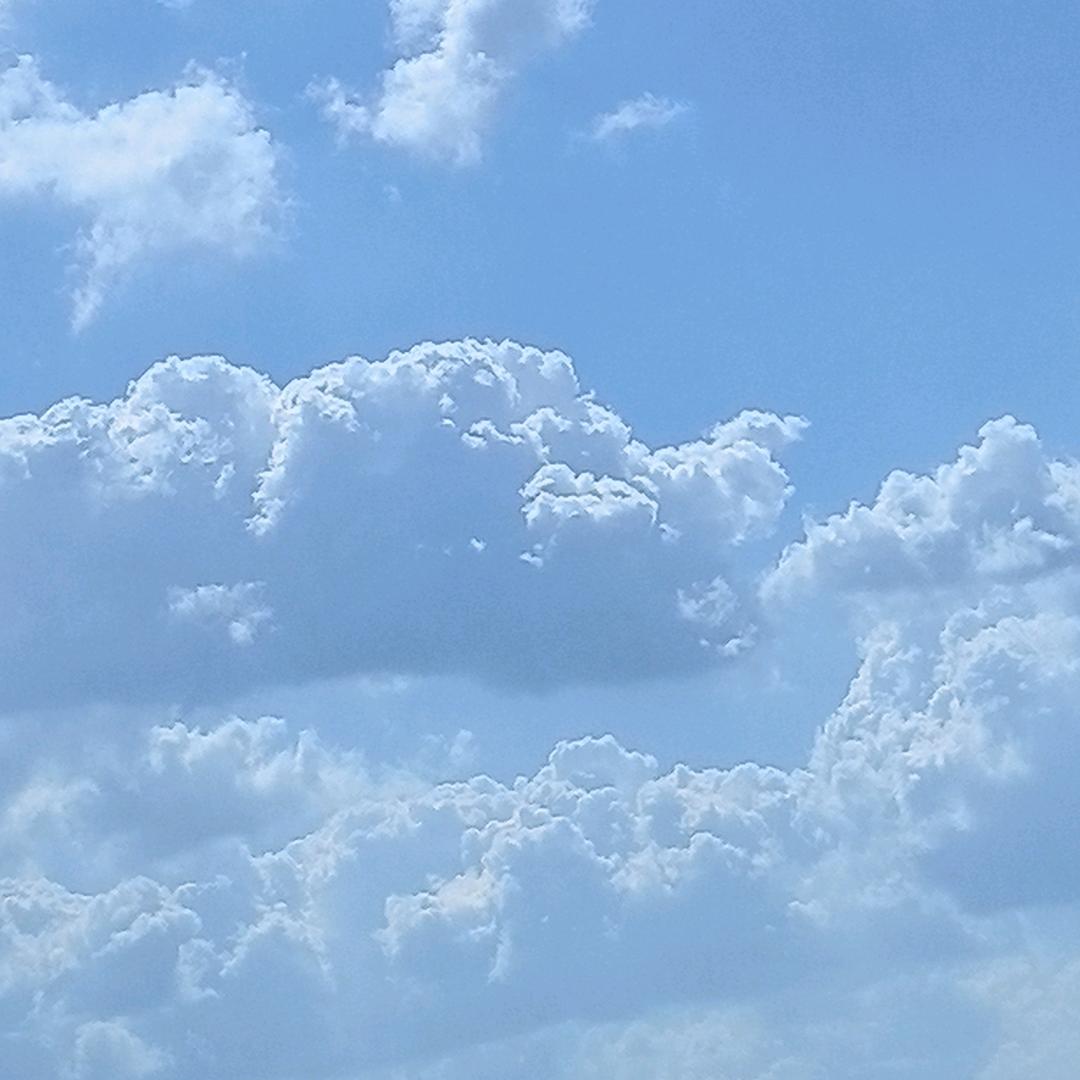 石峰珍桂
