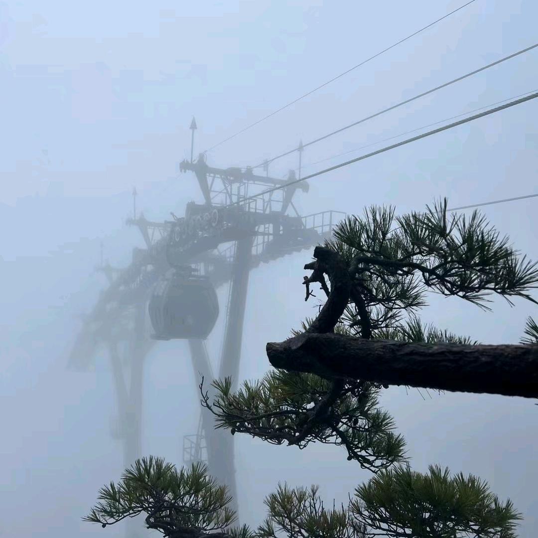 东哥