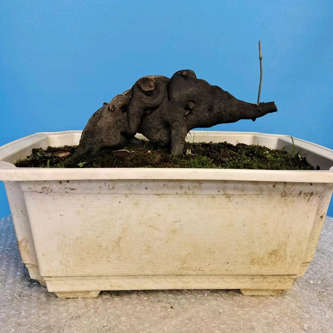 聚景小苑园艺店