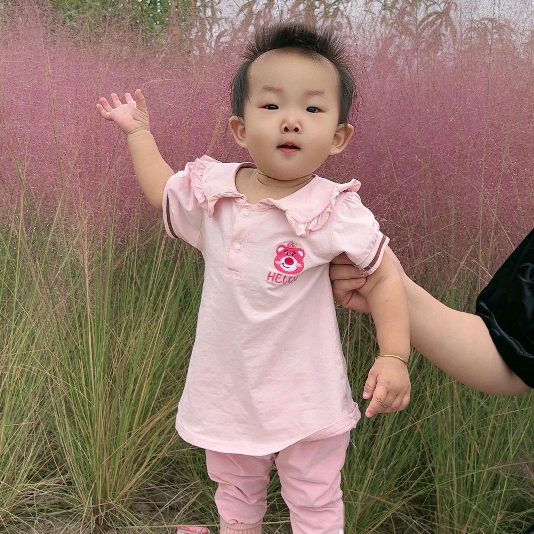 马云回收木材破烂家电各种废品