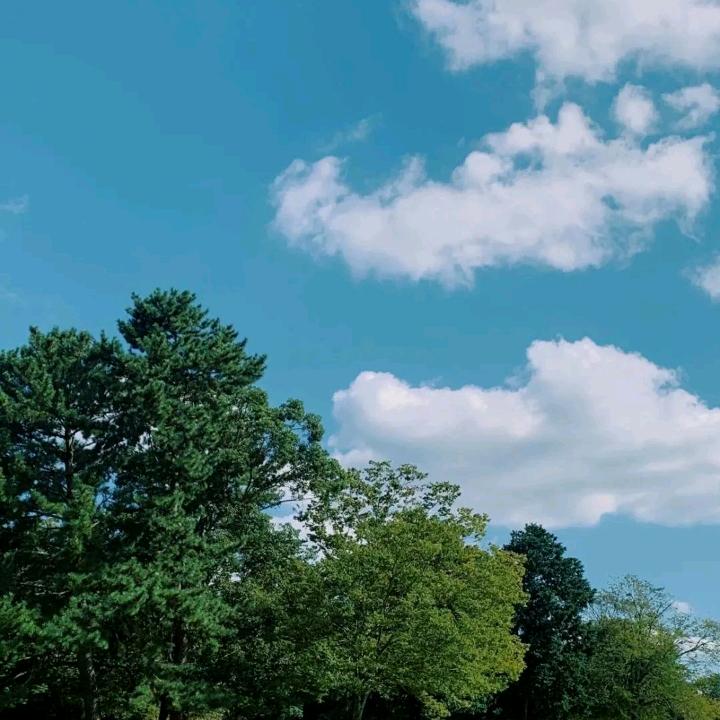 说么子
