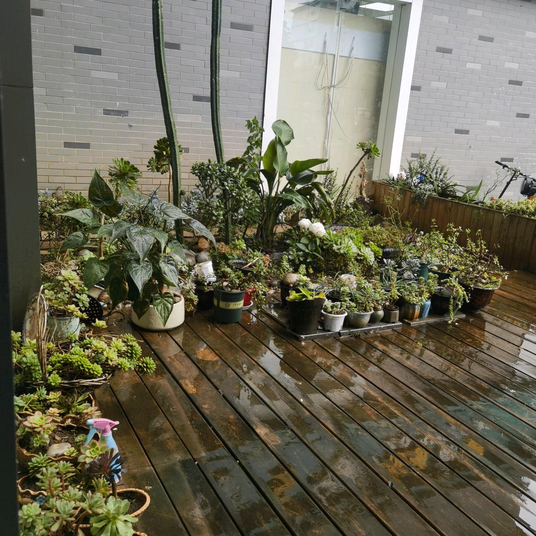 丽江公寓出租（月租  年租）