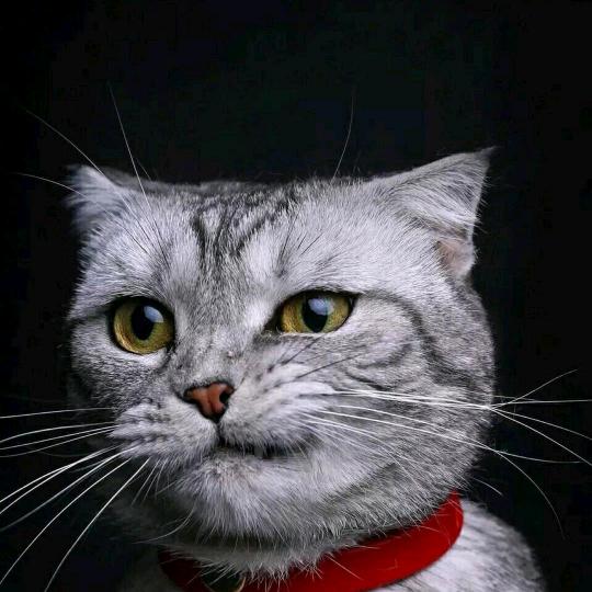 妹尼撑6666！！！