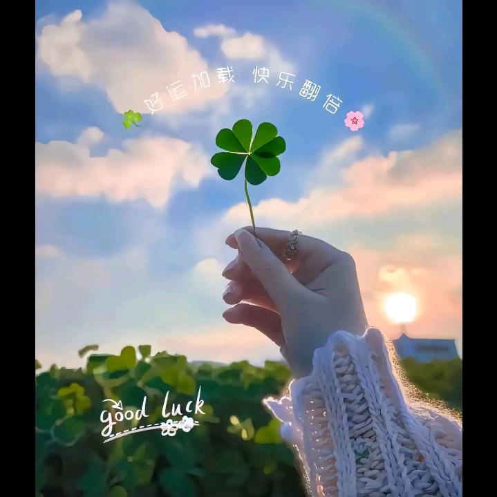 '✨ℳঞᩚ糖糖✨