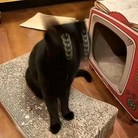 我甜透了