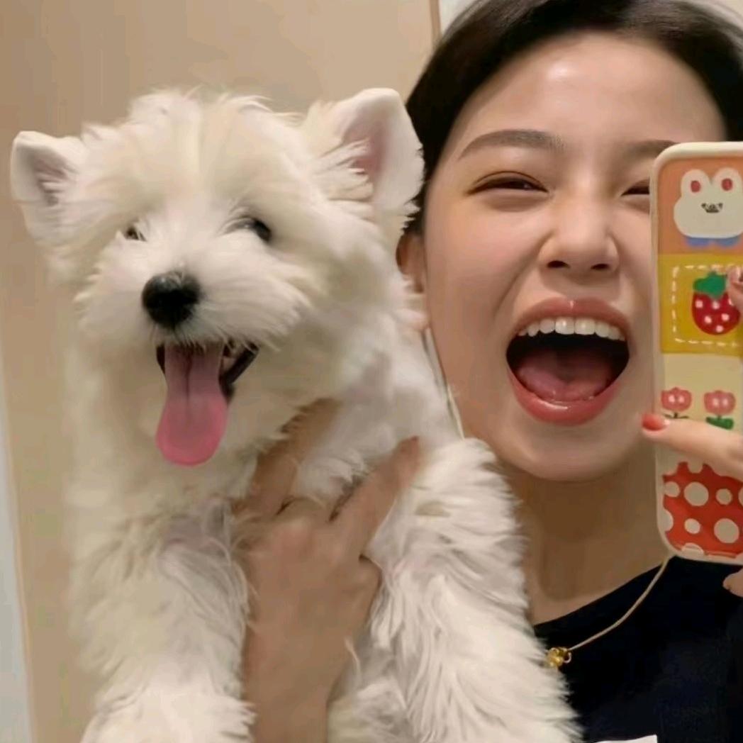 考拉不吃桉树叶