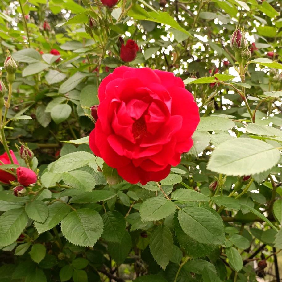 广州通幸酒店管理有限公司企业店