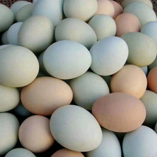 水娟邮乐购土特产