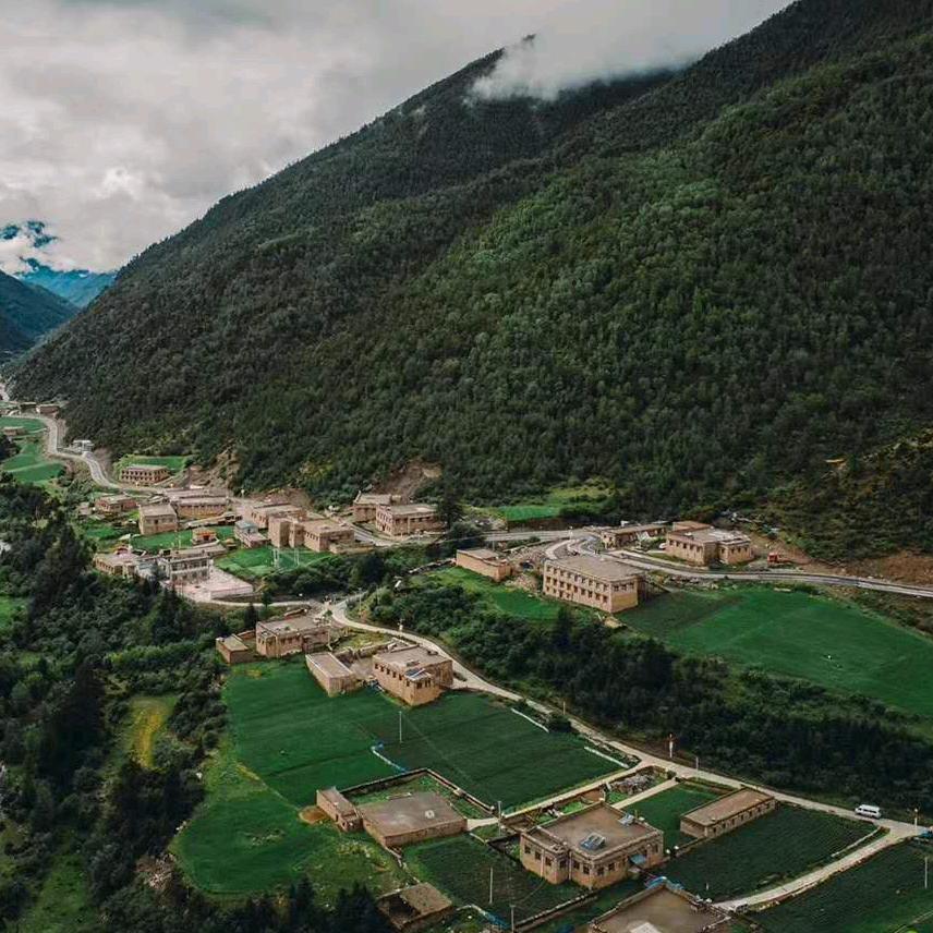 麻格同📷索郎