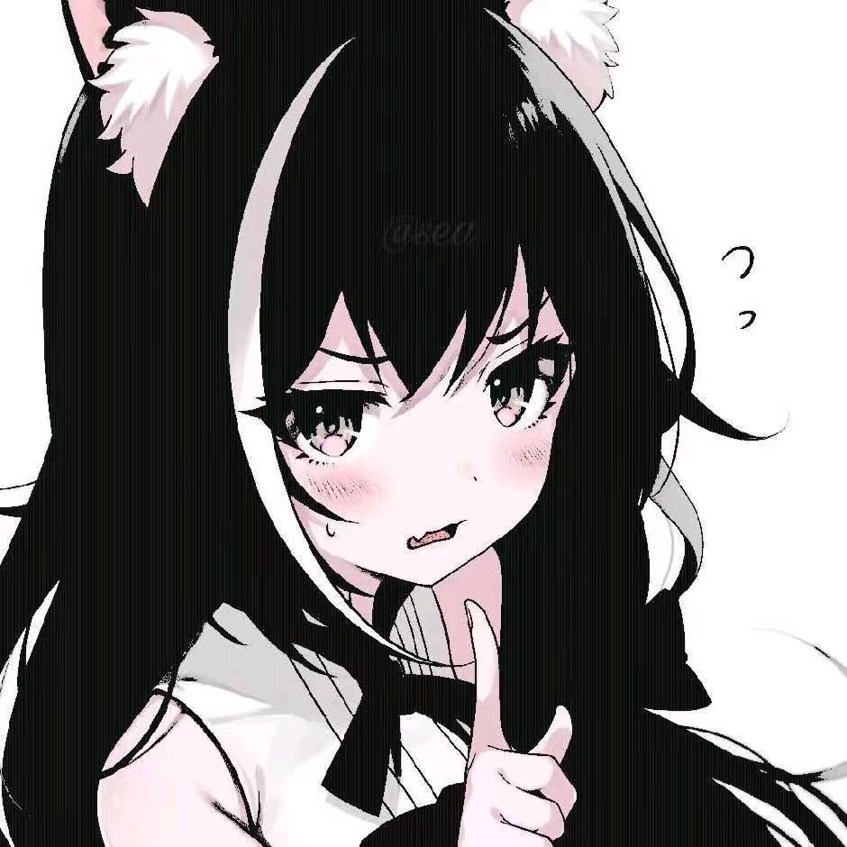 老白玩喵